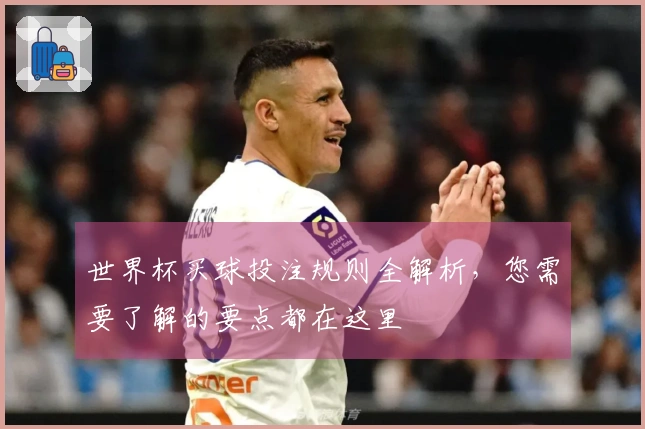 世界杯买球投注规则全解析，您需要了解的要点都在这里