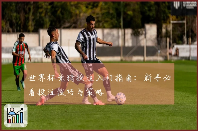 世界杯竞猜投注入门指南：新手必看投注技巧与策略