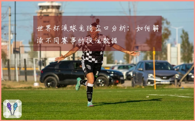 世界杯滚球竞猜盘口分析：如何解读不同赛事的投注数据