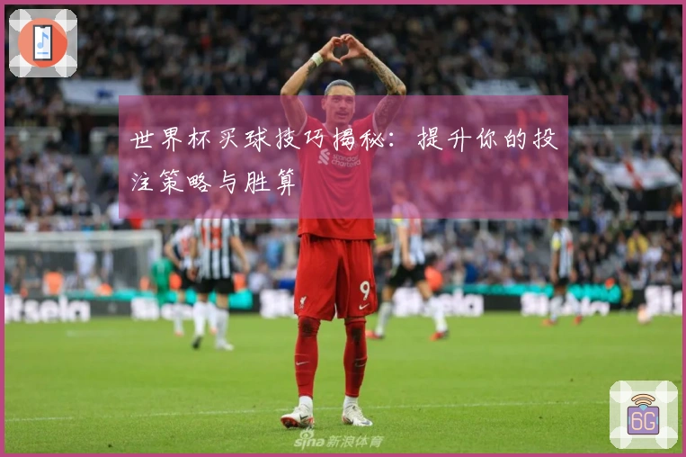 世界杯买球技巧揭秘：提升你的投注策略与胜算