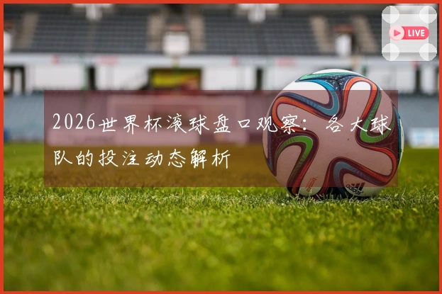 2026世界杯滚球盘口观察：各大球队的投注动态解析